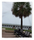 Coastal Park with Benches - Blanket