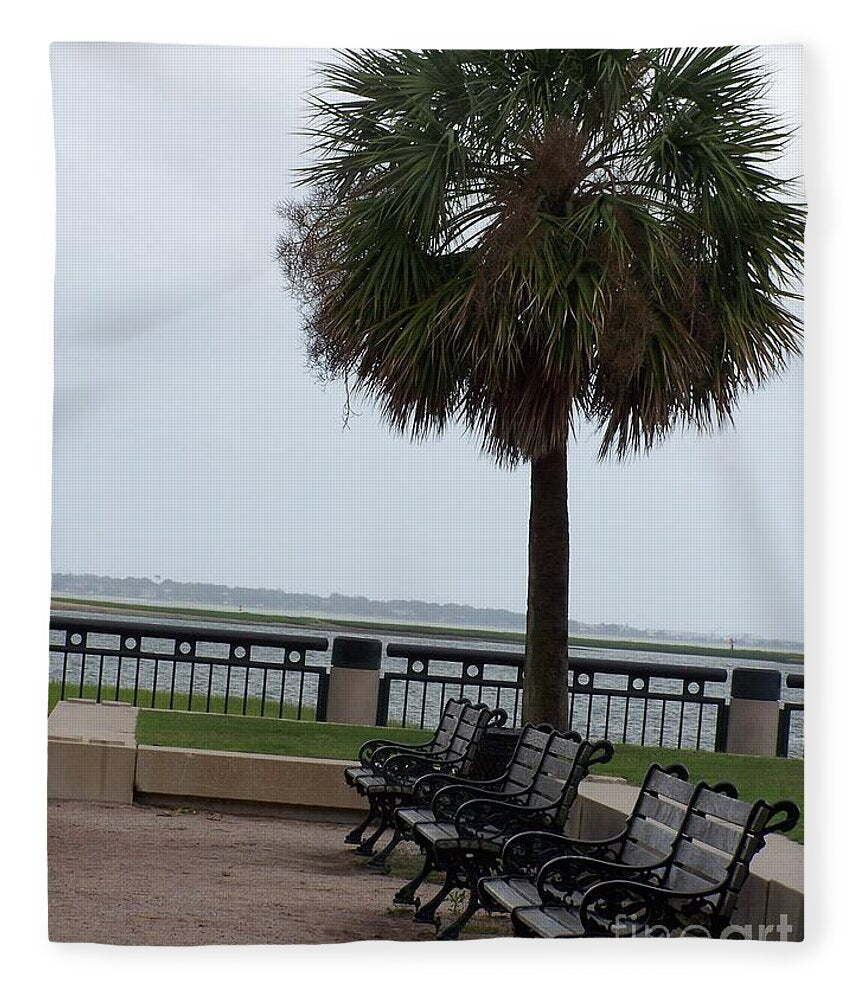 Coastal Park with Benches - Blanket