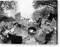 Empty Camp Chairs by the Lake - Canvas Print