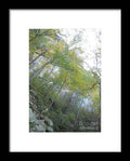 Forested Cliff With Autumn Foliage - Framed Print