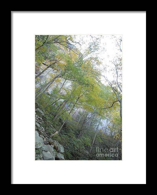 Forested Cliff With Autumn Foliage - Framed Print