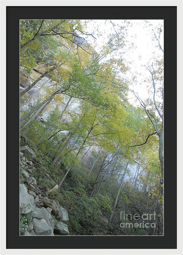 Forested Cliff With Autumn Foliage - Framed Print