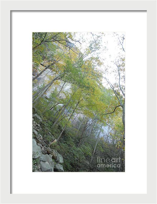 Forested Cliff With Autumn Foliage - Framed Print