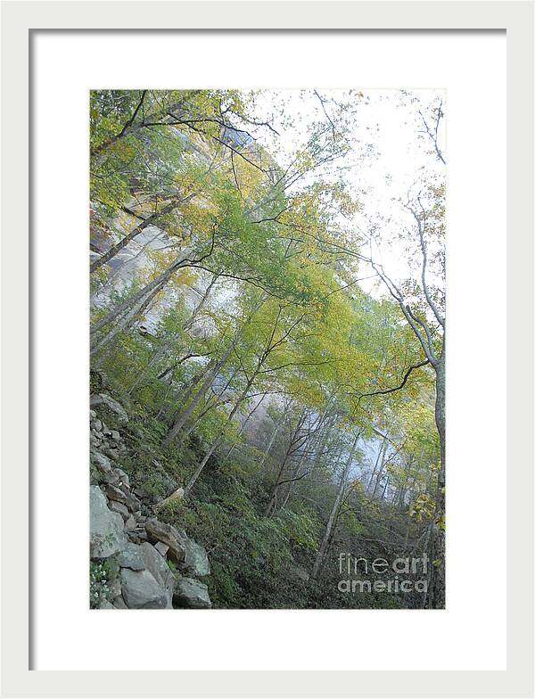 Forested Cliff With Autumn Foliage - Framed Print