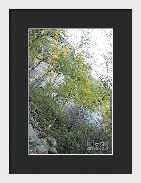 Forested Cliff With Autumn Foliage - Framed Print