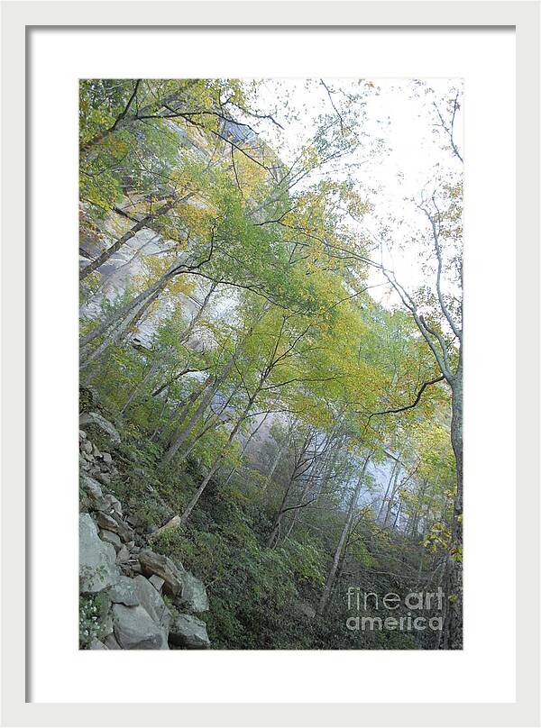 Forested Cliff With Autumn Foliage - Framed Print