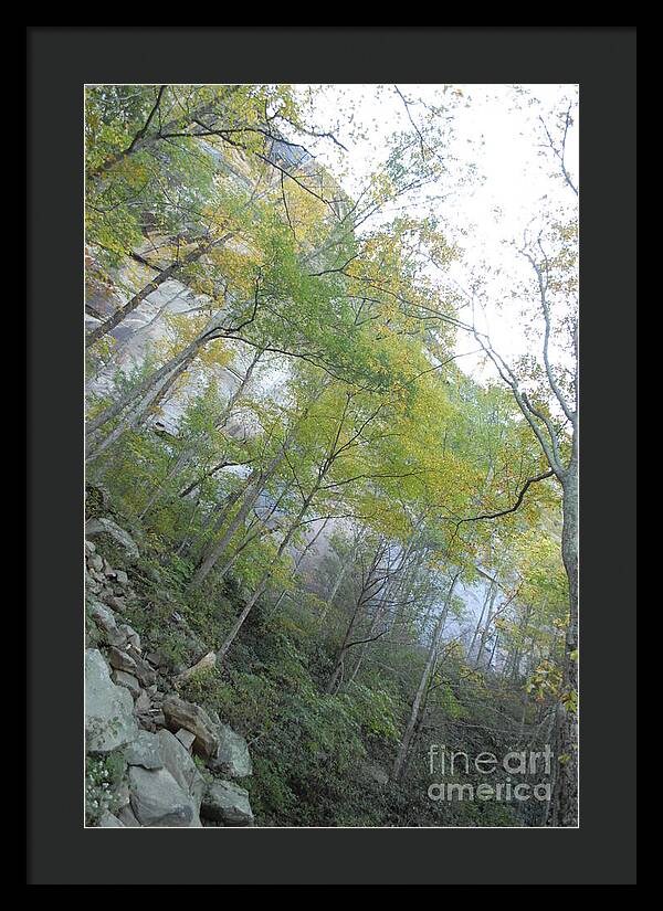 Forested Cliff With Autumn Foliage - Framed Print