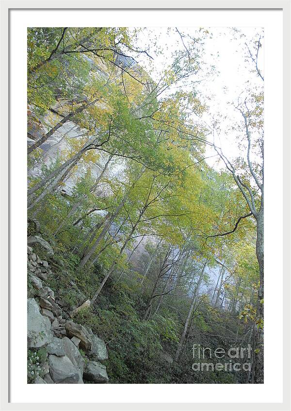 Forested Cliff With Autumn Foliage - Framed Print