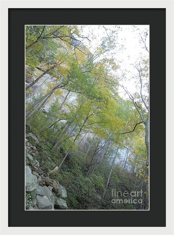 Forested Cliff With Autumn Foliage - Framed Print