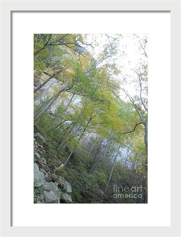 Forested Cliff With Autumn Foliage - Framed Print