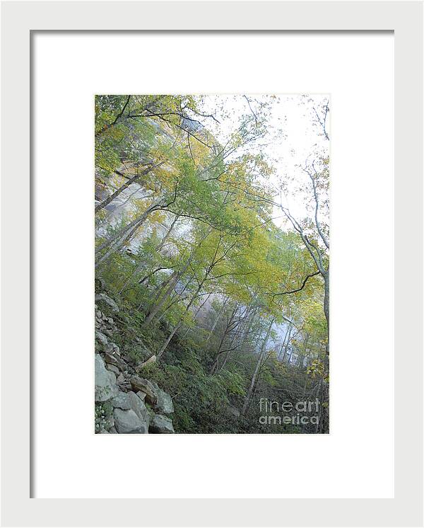 Forested Cliff With Autumn Foliage - Framed Print