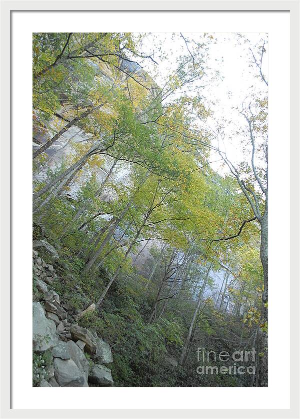 Forested Cliff With Autumn Foliage - Framed Print