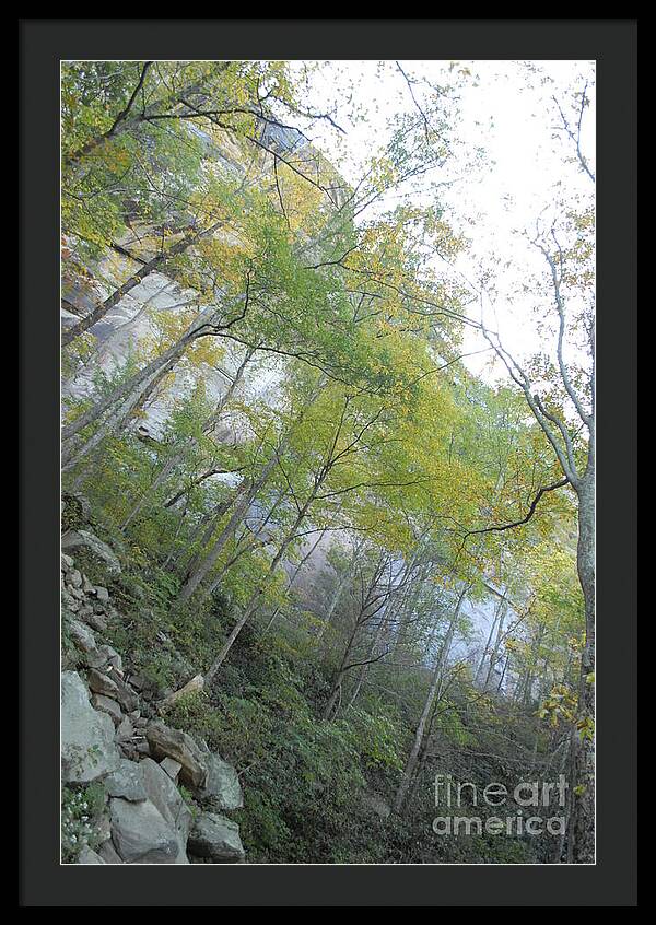 Forested Cliff With Autumn Foliage - Framed Print
