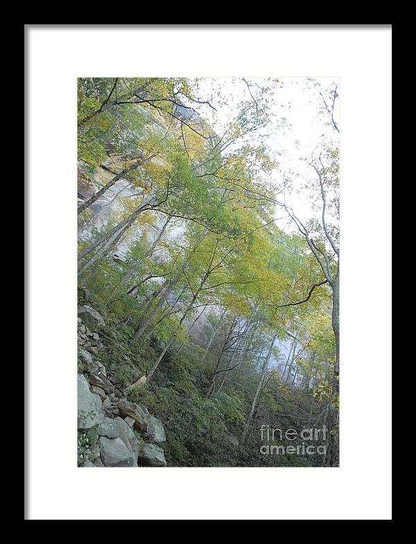 Forested Cliff With Autumn Foliage - Framed Print