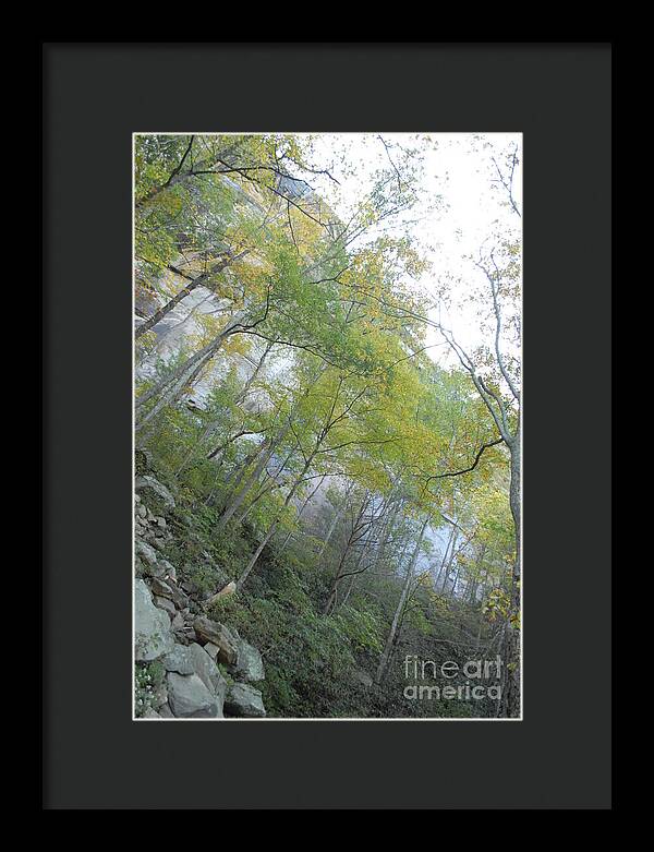 Forested Cliff With Autumn Foliage - Framed Print