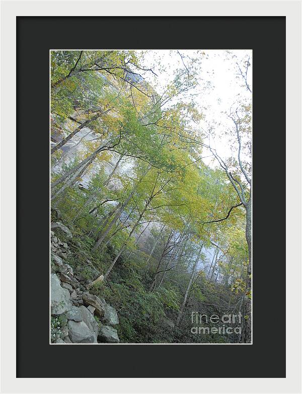 Forested Cliff With Autumn Foliage - Framed Print