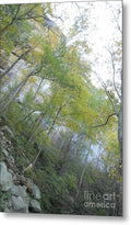 Forested Cliff With Autumn Foliage - Metal Print