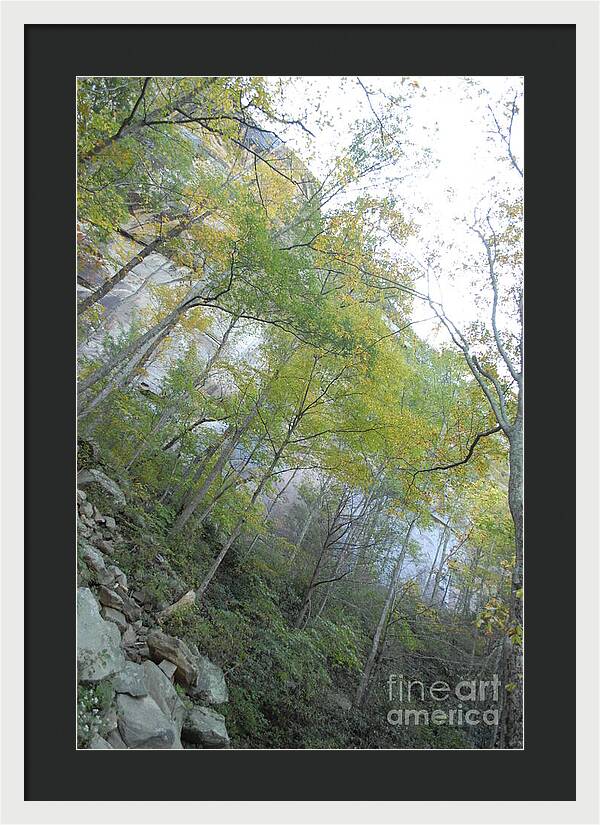 Forested Cliff With Autumn Foliage - Framed Print