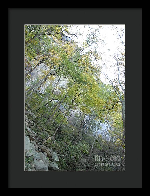 Forested Cliff With Autumn Foliage - Framed Print