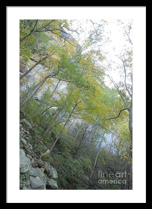 Forested Cliff With Autumn Foliage - Framed Print
