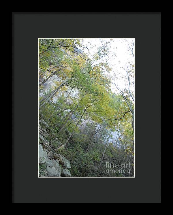 Forested Cliff With Autumn Foliage - Framed Print