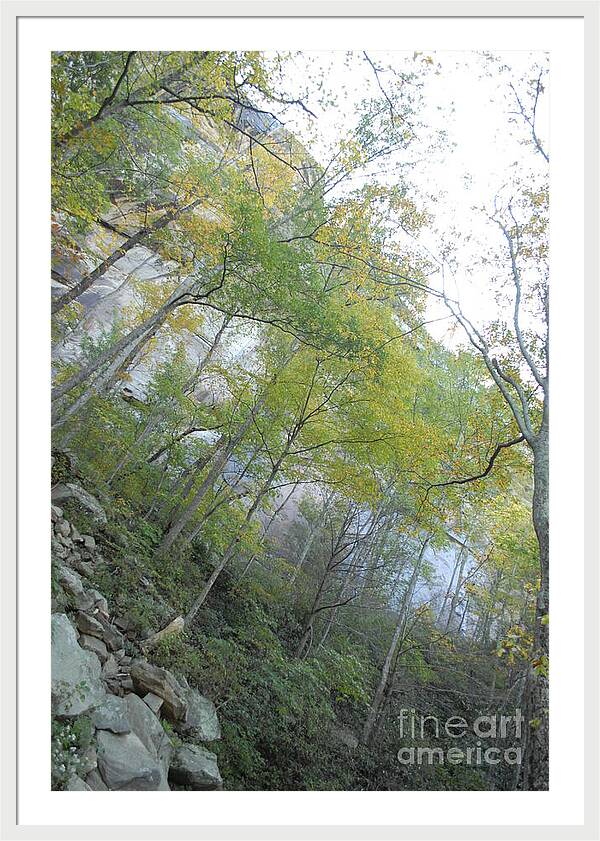 Forested Cliff With Autumn Foliage - Framed Print