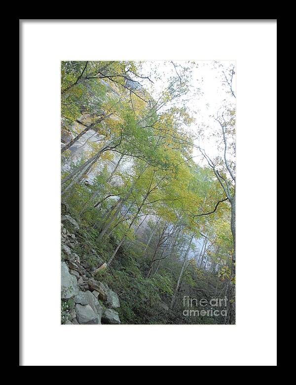 Forested Cliff With Autumn Foliage - Framed Print