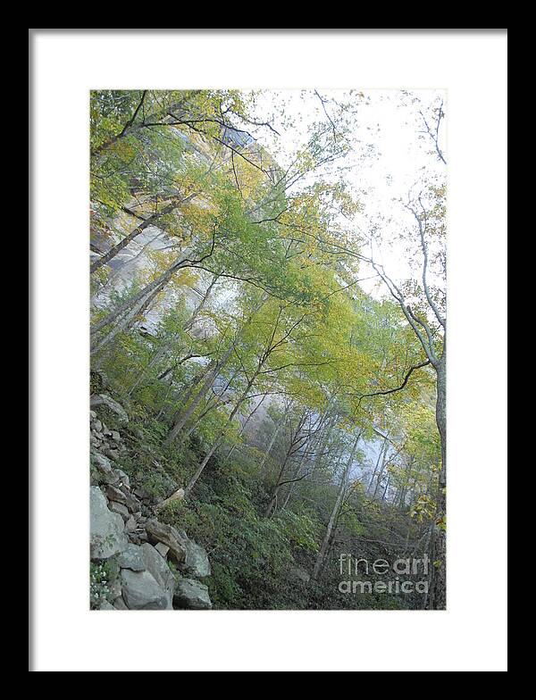 Forested Cliff With Autumn Foliage - Framed Print