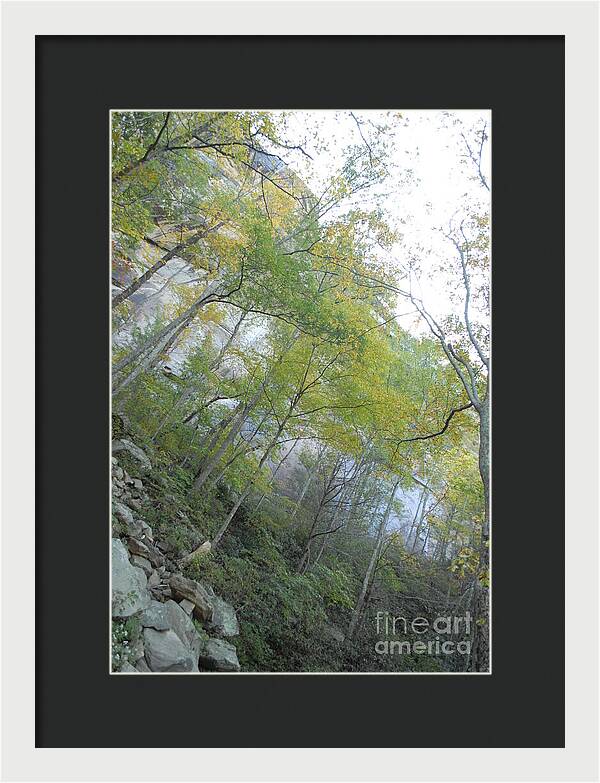 Forested Cliff With Autumn Foliage - Framed Print