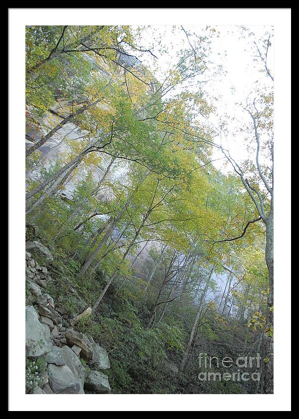 Forested Cliff With Autumn Foliage - Framed Print