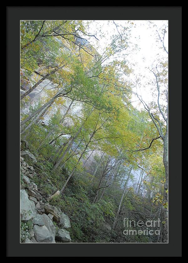 Forested Cliff With Autumn Foliage - Framed Print