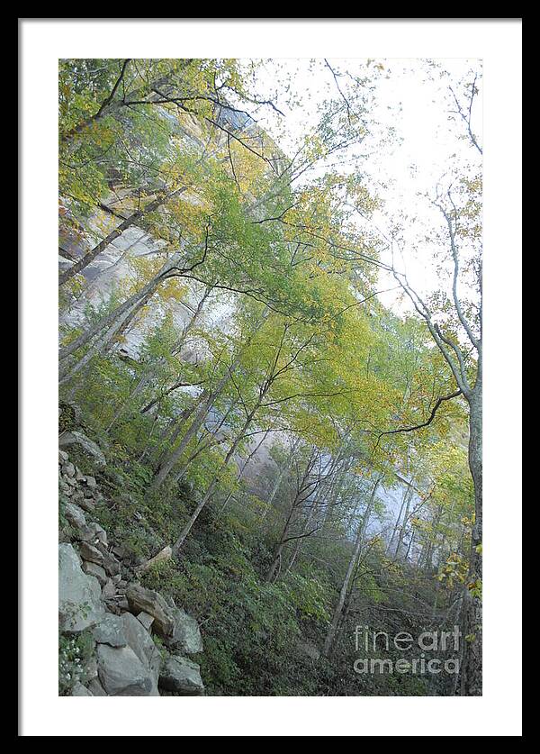 Forested Cliff With Autumn Foliage - Framed Print