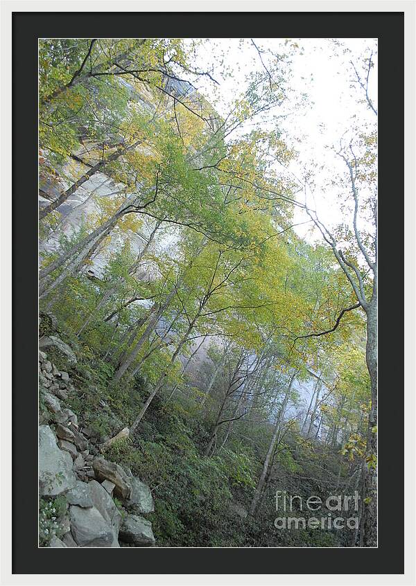 Forested Cliff With Autumn Foliage - Framed Print