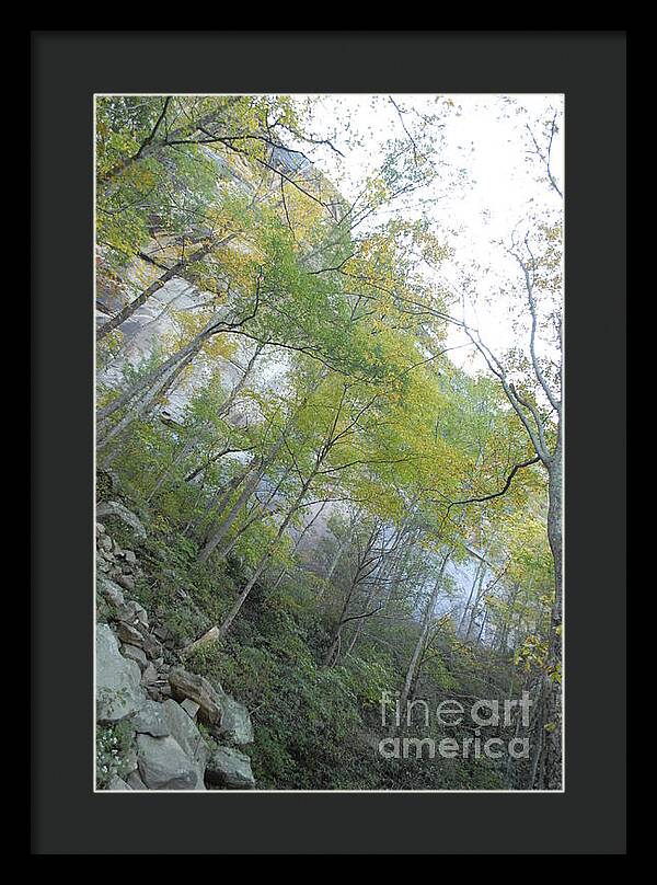 Forested Cliff With Autumn Foliage - Framed Print