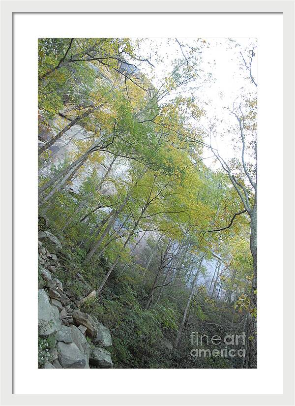 Forested Cliff With Autumn Foliage - Framed Print