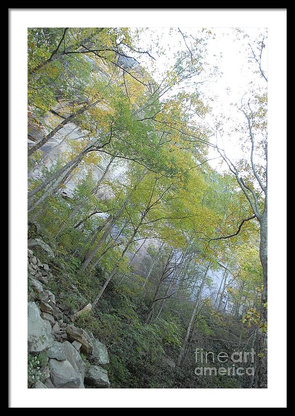 Forested Cliff With Autumn Foliage - Framed Print