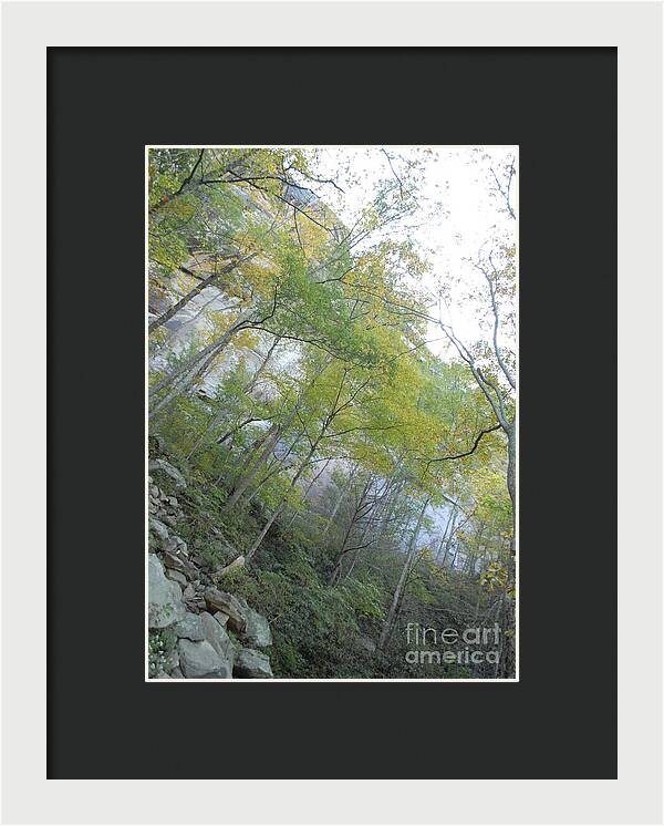 Forested Cliff With Autumn Foliage - Framed Print