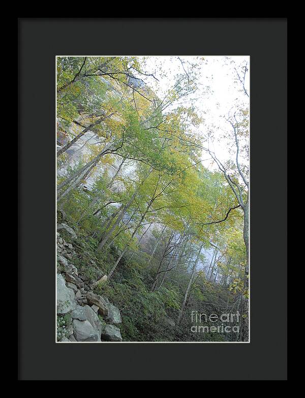 Forested Cliff With Autumn Foliage - Framed Print