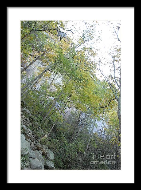 Forested Cliff With Autumn Foliage - Framed Print