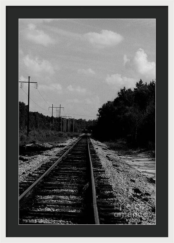 Lonely Railroad Tracks - Framed Print