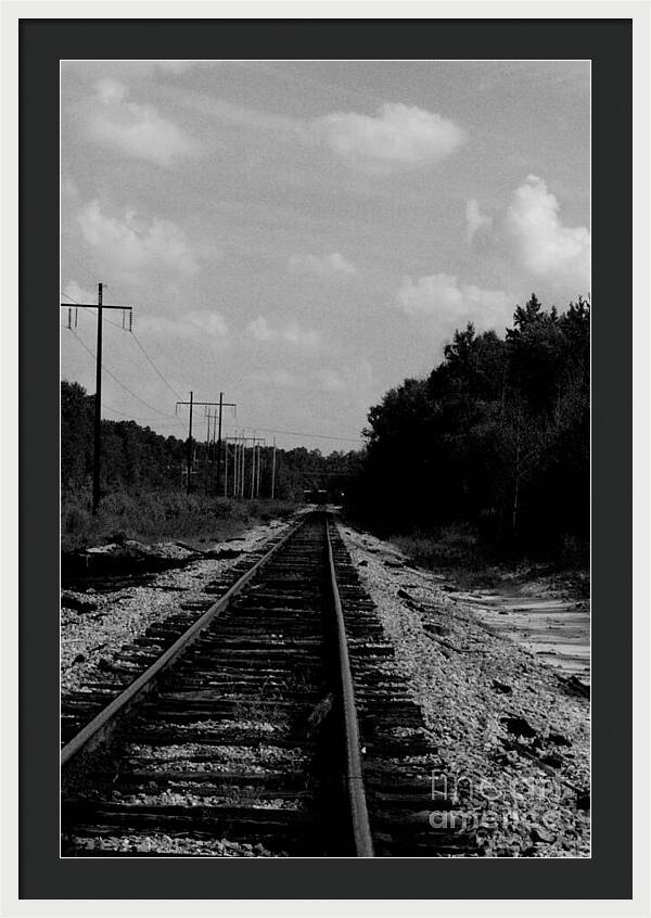 Lonely Railroad Tracks - Framed Print