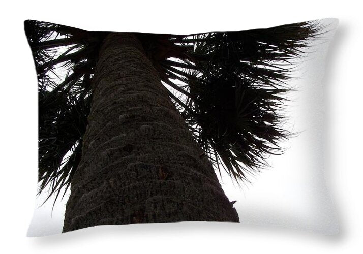 Majestic Palm from Below - Throw Pillow