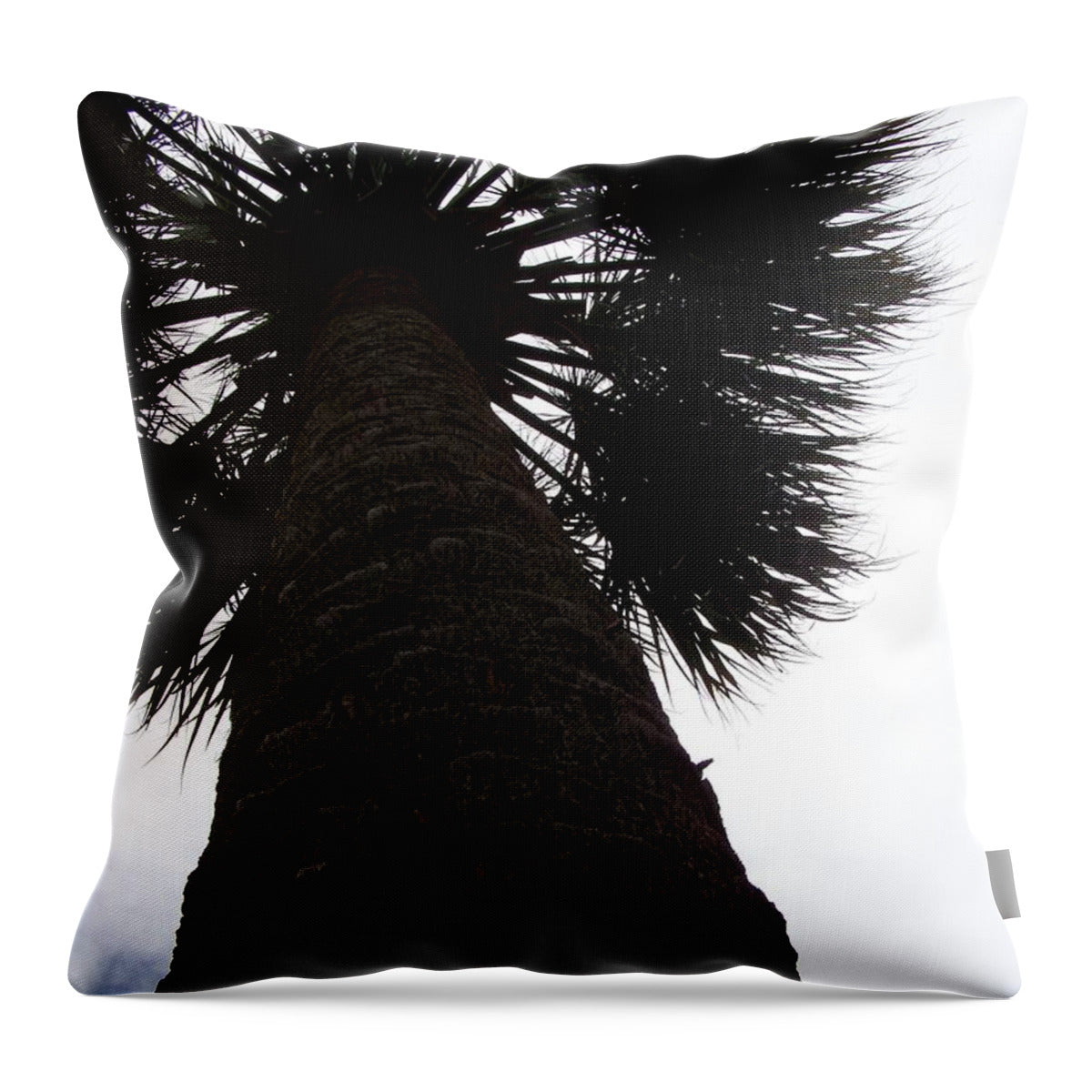 Majestic Palm from Below - Throw Pillow