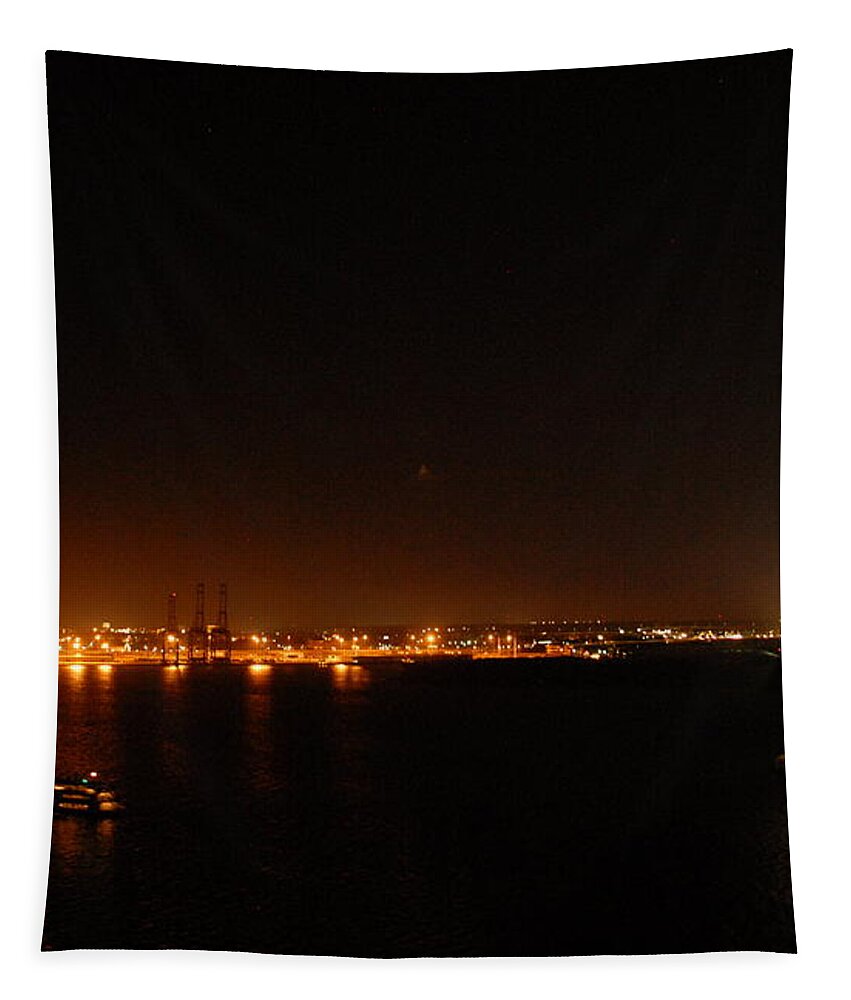 Night View of Cable-Stayed Bridge - Tapestry