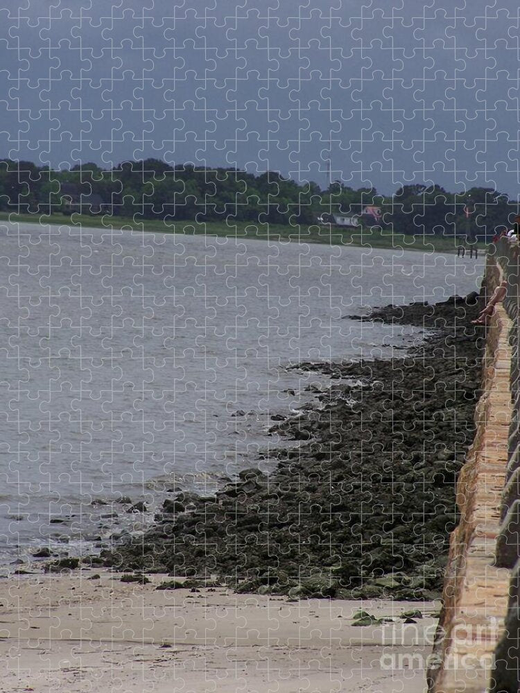 Rocky Shoreline with Overcast Sky - Puzzle