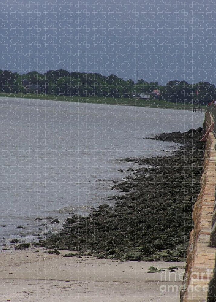 Rocky Shoreline with Overcast Sky - Puzzle