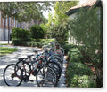 Row of Bicycles in the Sun Canvas Wall Art Print Ready to Hang on Wooden Frame