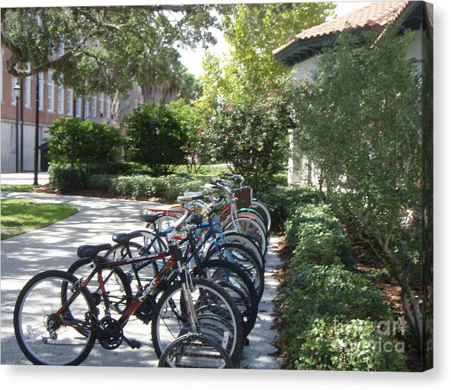 Row of Bicycles in the Sun Canvas Wall Art Print Ready to Hang on Wooden Frame