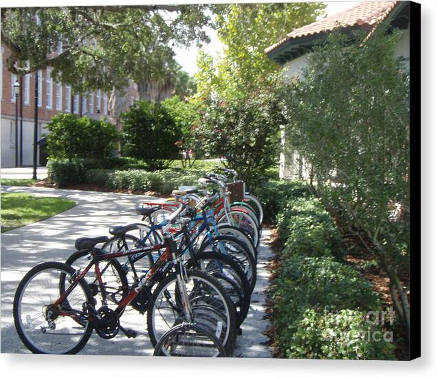 Row of Bicycles in the Sun Canvas Wall Art Print Ready to Hang on Wooden Frame