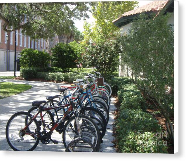 Row of Bicycles in the Sun Canvas Wall Art Print Ready to Hang on Wooden Frame